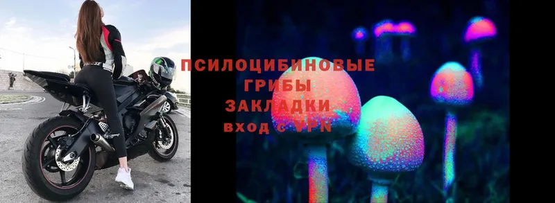 Галлюциногенные грибы MAGIC MUSHROOMS  Ипатово 